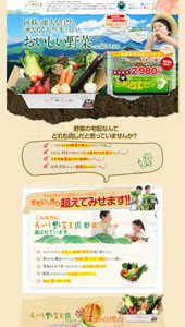 九州野菜の宅配・通販は九州野菜王国へ！！